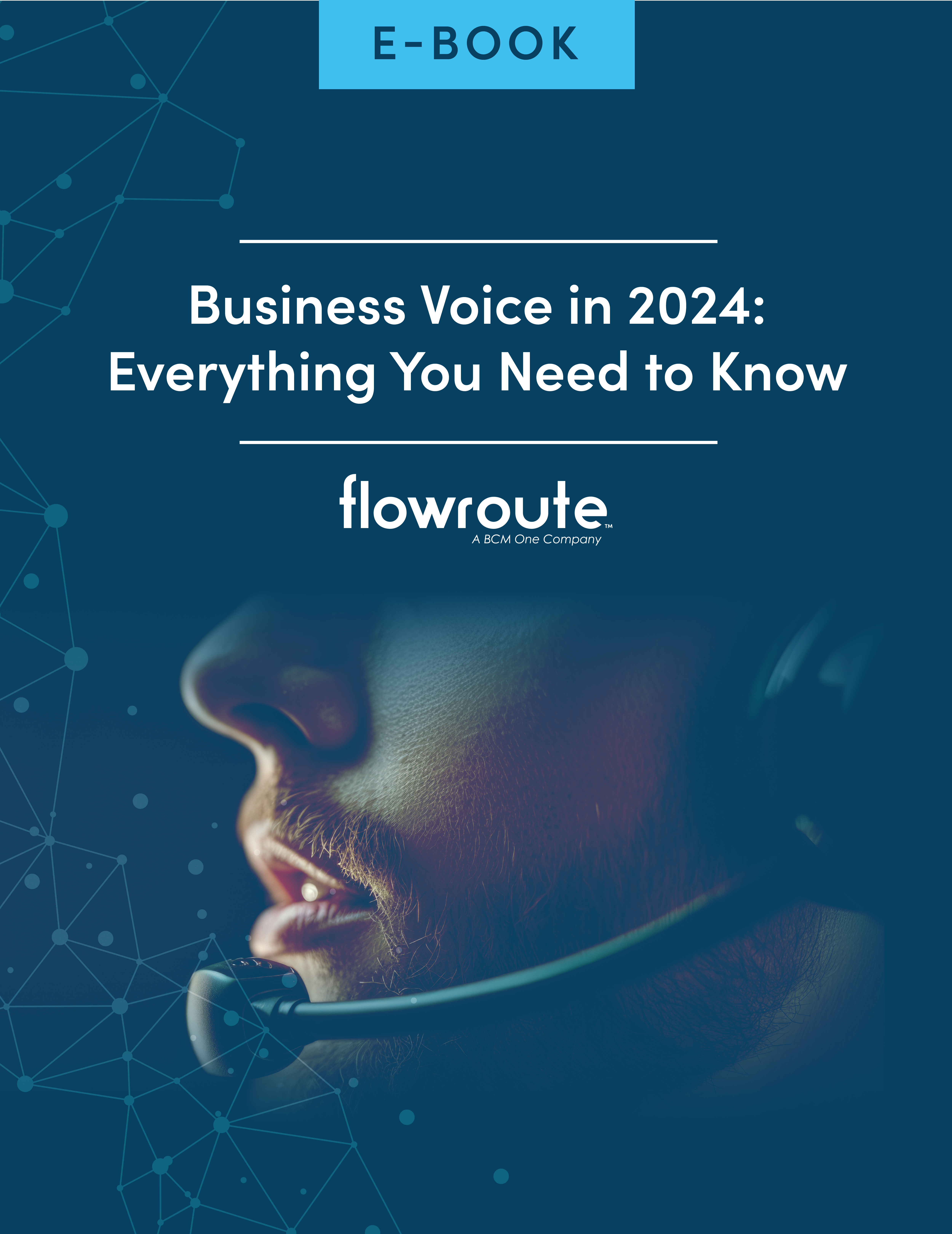 Flowroute_E-Book_BusinessVoice_Thumbnail